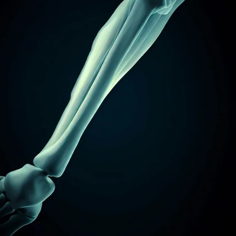 Osul piciorului: Structură și Funcții
